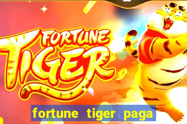 fortune tiger paga de madrugada