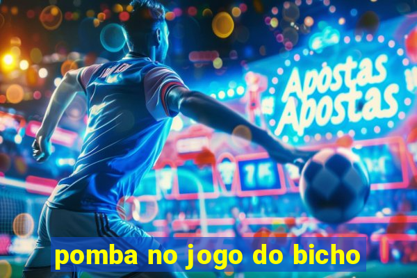 pomba no jogo do bicho