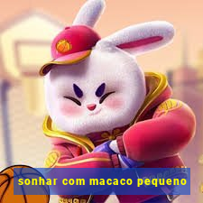 sonhar com macaco pequeno