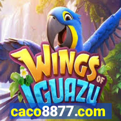 caco8877.com