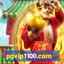 pgvip1100.com