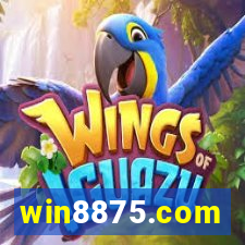 win8875.com