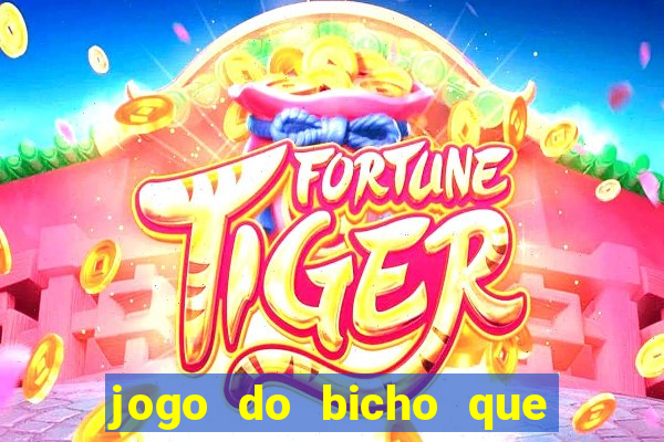 jogo do bicho que paga no pix