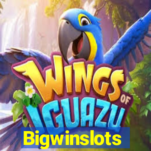 Bigwinslots