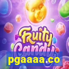pgaaaa.co