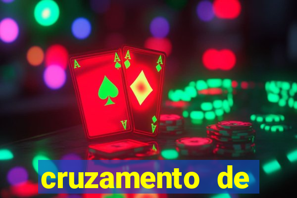 cruzamento de cavalo com mula
