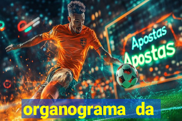 organograma da cacau show