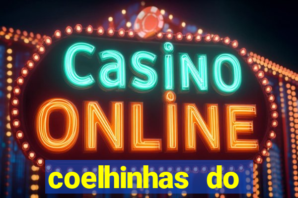coelhinhas do brasil acompanhantes