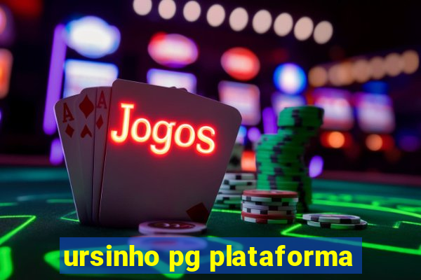 ursinho pg plataforma