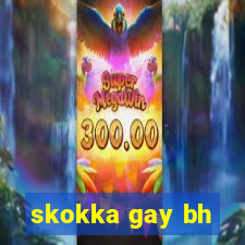skokka gay bh