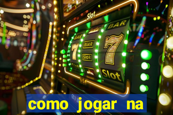 como jogar na lotinha do jogo do bicho