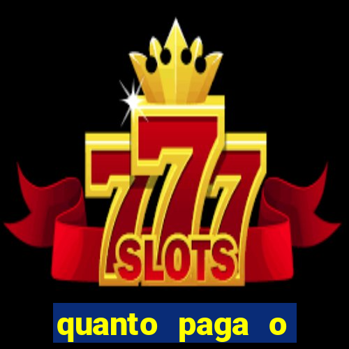 quanto paga o jungle fight