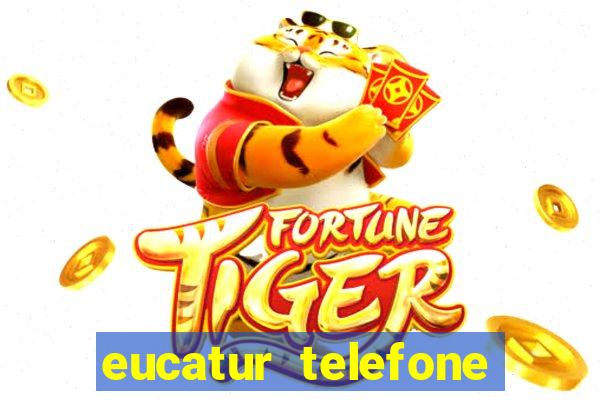 eucatur telefone whatsapp porto velho