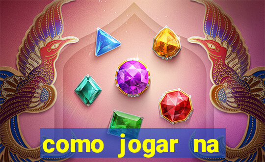 como jogar na seninha online
