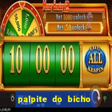 palpite do bicho deu no poste