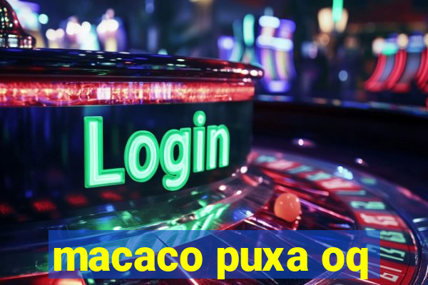 macaco puxa oq