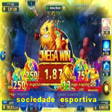 sociedade esportiva palmeiras x botafogo futemax