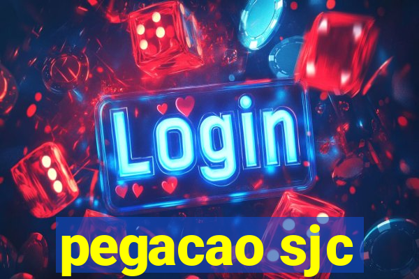 pegacao sjc