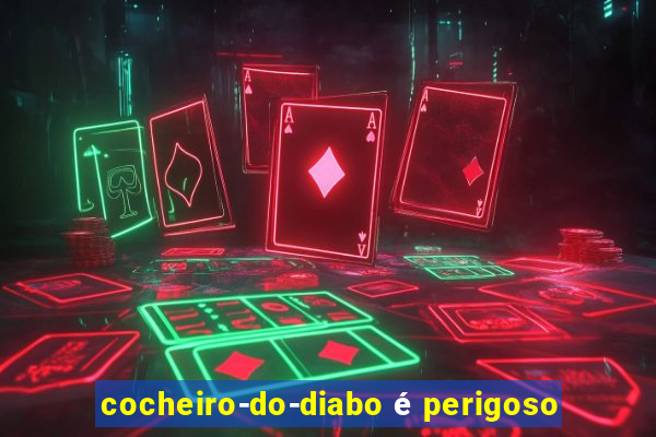 cocheiro-do-diabo é perigoso