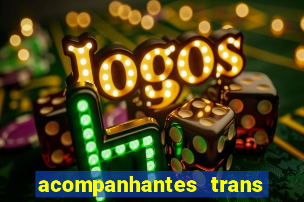 acompanhantes trans baixada fluminense