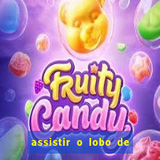 assistir o lobo de wall street grátis