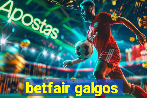 betfair galgos
