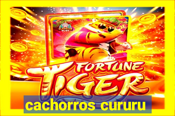 cachorros cururu