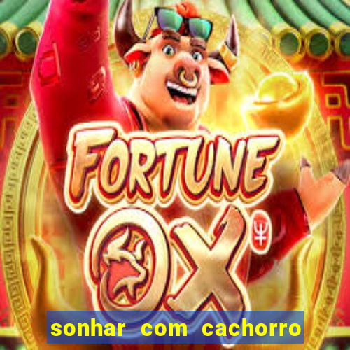 sonhar com cachorro mordendo jogo do bicho