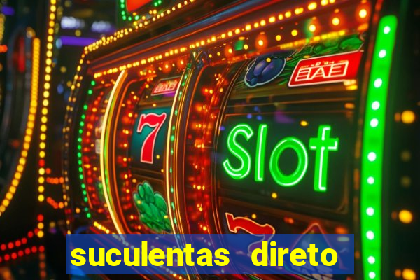 suculentas direto do produtor rs