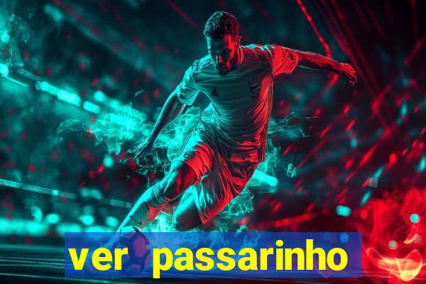 ver passarinho morto significado espiritual