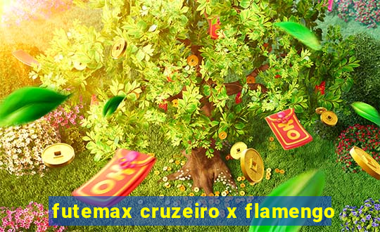futemax cruzeiro x flamengo