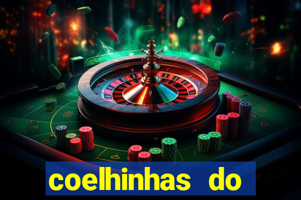 coelhinhas do brasil recife