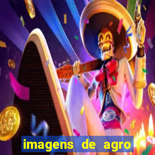 imagens de agro racoes guarani
