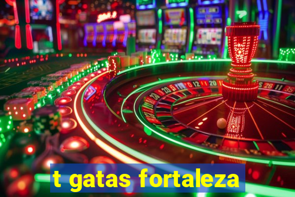 t gatas fortaleza
